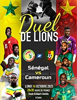 Réservez les meilleures places pour Senegal / Cameroun - Stade Bollaert-delelis - Le 16 octobre 2023