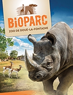 Réservez les meilleures places pour Bioparc-zoo De Doue La Fontaine - Bioparc-zoo De Doue La Fontaine - Du 10 février 2024 au 11 novembre 2024
