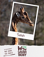 Réservez les meilleures places pour Wow Safari Thoiry - Wow Safari Thoiry - Du 1 janvier 2024 au 31 décembre 2025