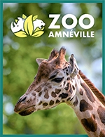 Réservez les meilleures places pour Parc Zoologique D'amneville - Parc Zoologique D'amneville - Du 3 avril 2024 au 31 décembre 2025